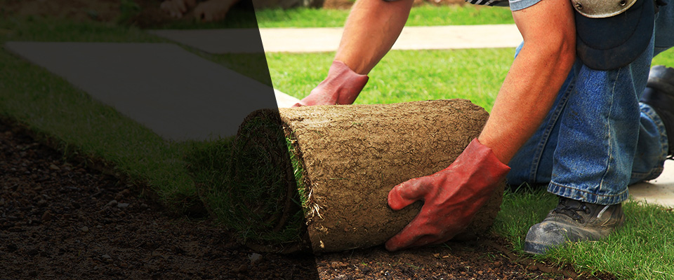 Rectortown Landscapers